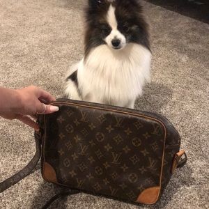 Louis Vuitton shoulder bag